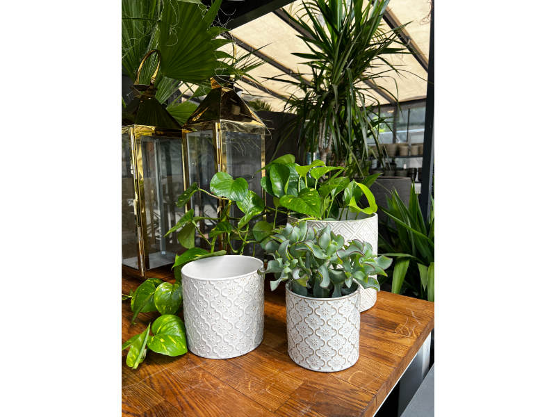 Mabella Urtepotte keramik - creme hvid