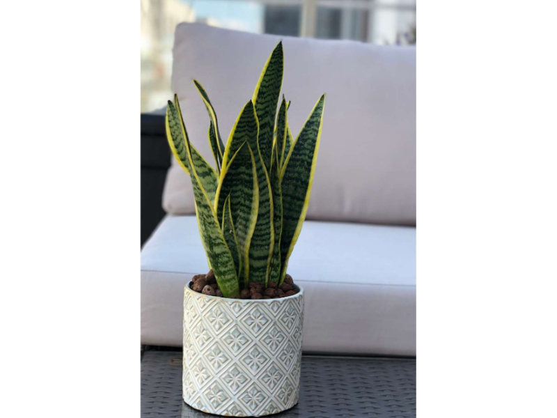 Mabella Urtepotte keramik - creme hvid