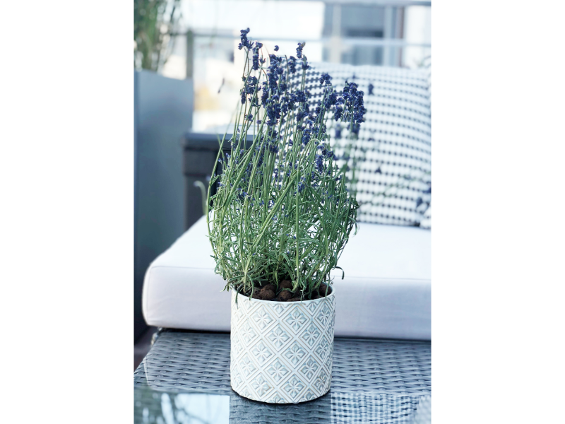 Mabella Urtepotte keramik - creme hvid