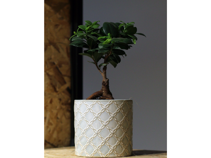 Mabella Urtepotte keramik - creme hvid