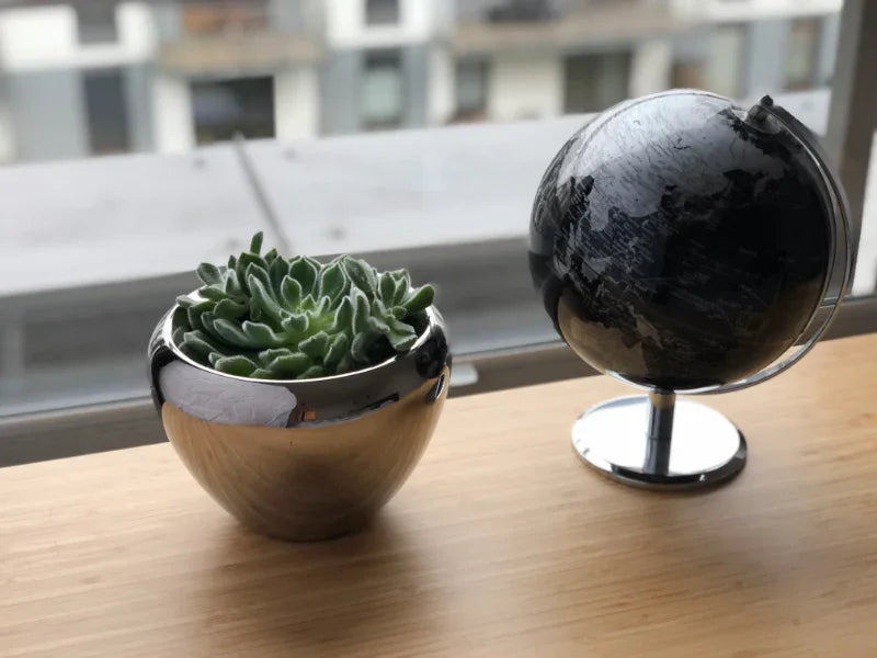 Sølvfarvet potte med sukkulent og sort globus på træbord ved et vindue