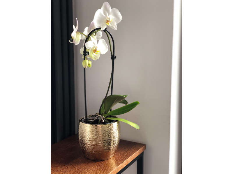 Mabella Urtepotte keramik / Guld